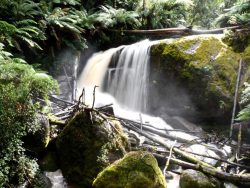 Waterfall called Amphitheatre Falls in Noojee