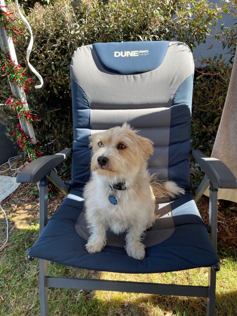 Pet Friendly Cabins, Caravan & Campsites in the Yarra Valley