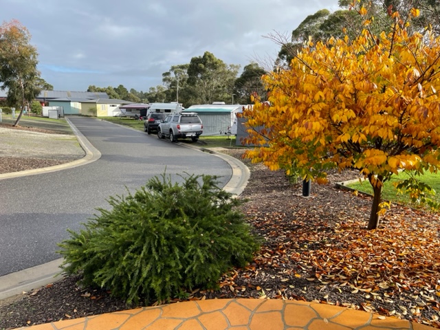 Caravan and Camping Sites Yarra Valley