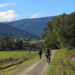 Warburton Cycling Trail