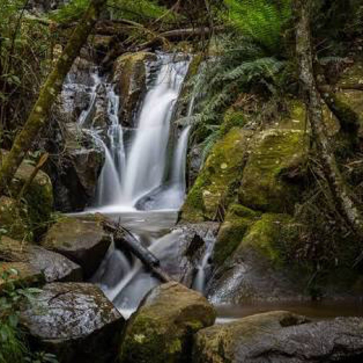 Waterfall called Olinda Falls in Olinda