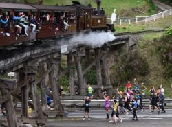 Puffing Billy Running Festival
