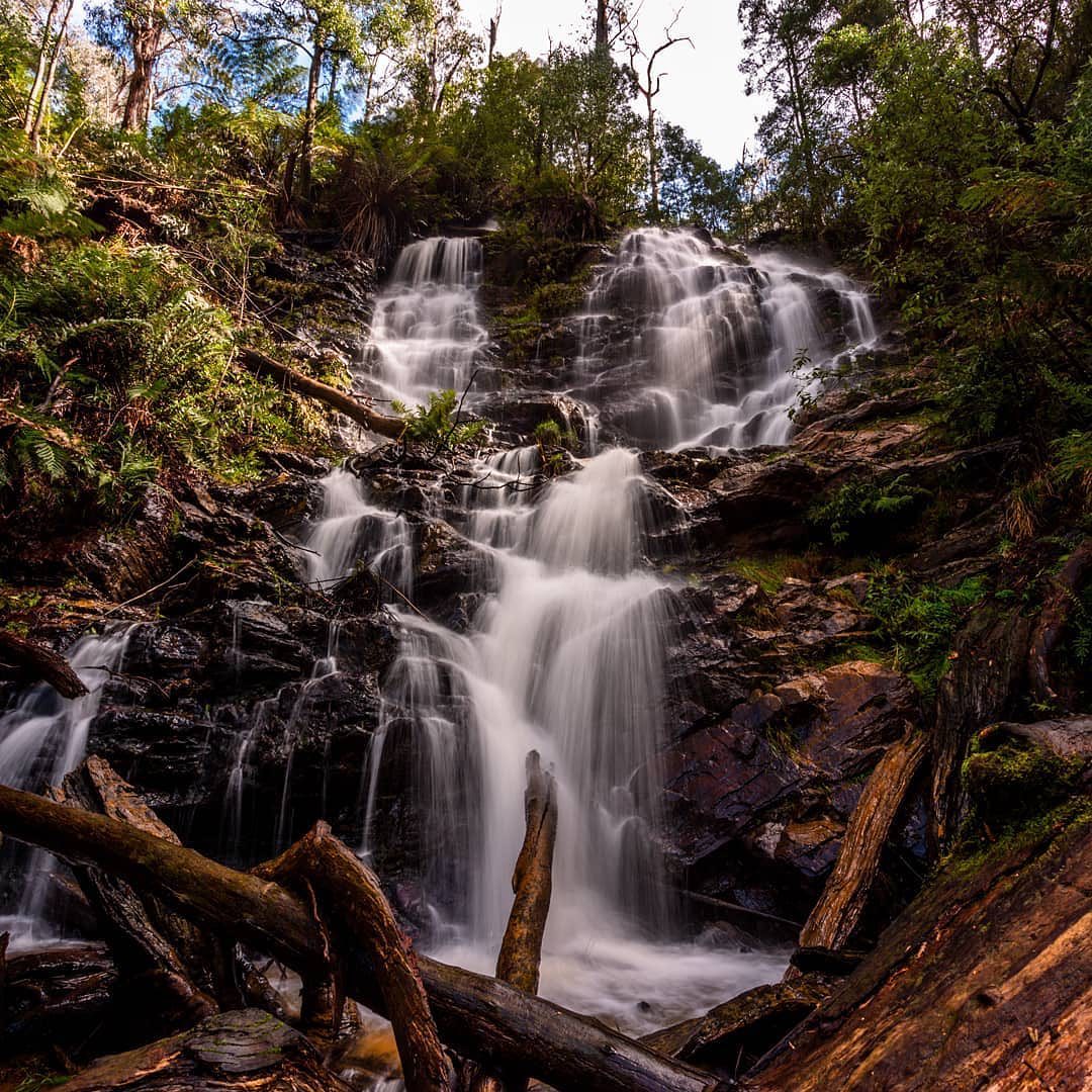 waterfall called Wombelano Falls located in Kinglake National Park